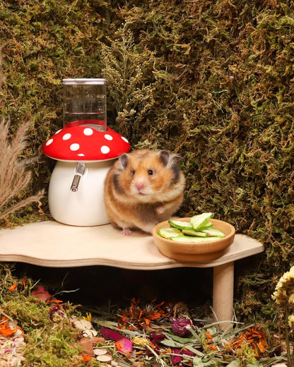 Niteangel Hamster Snack & Treats Toy - Small Animal Natural Treat for Dwarf Syrian Robo Hamsters
