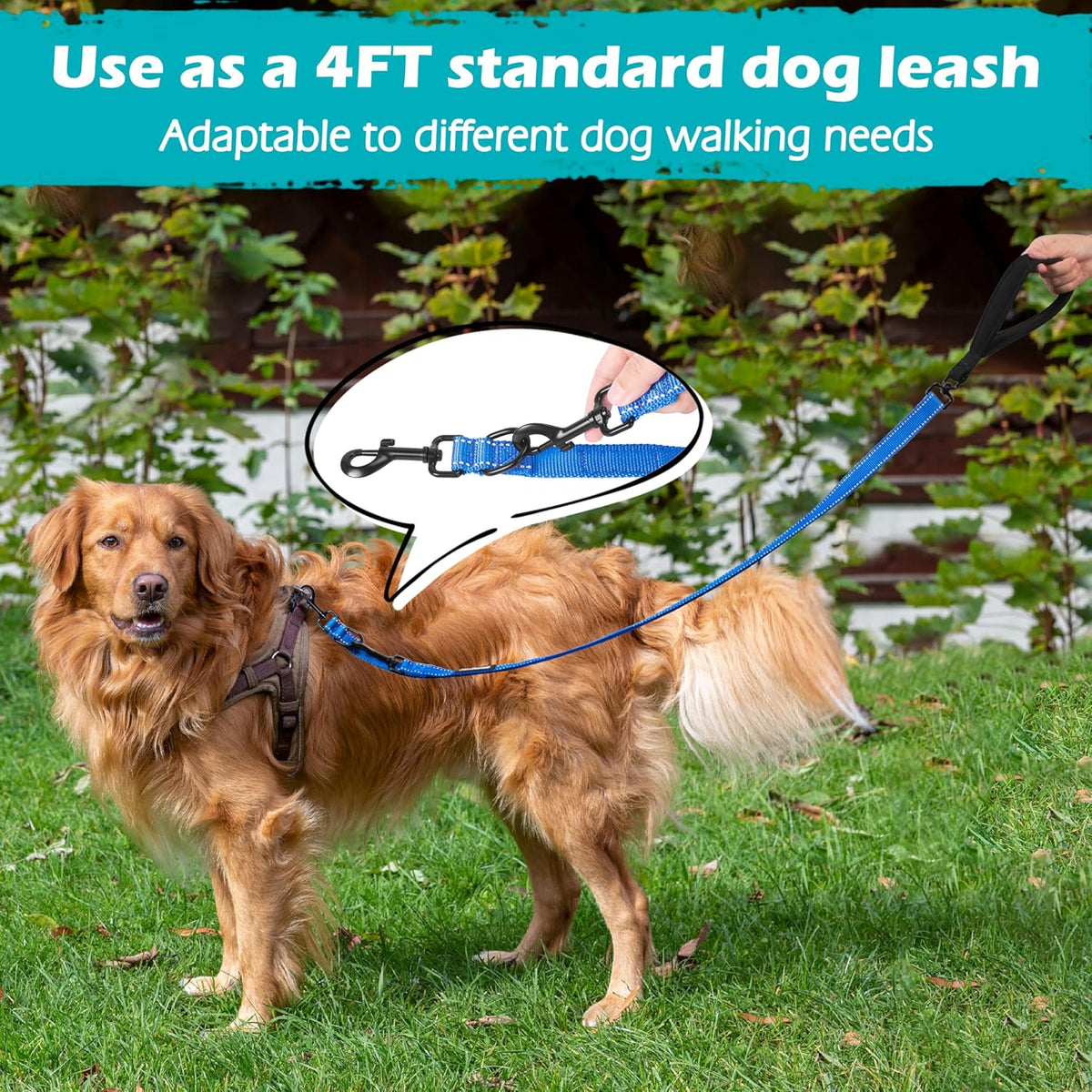 PetBonus Two Point Control Dog Leash, Works with No Pull Harnesses, No Tangle Dog Training Leashes