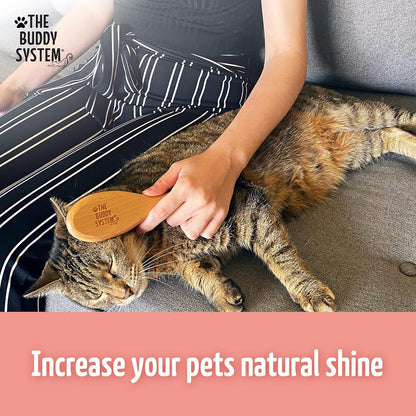 The Buddy System Cat Brush with Boar Bristle and Wooden Handle, Professional Grade Daily Grooming