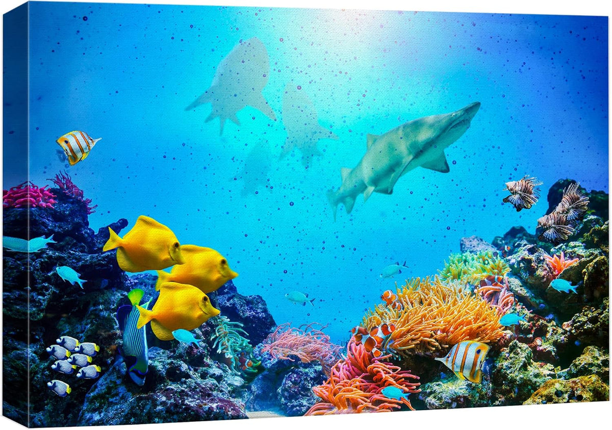 wall26 Canvas Print Wall Art Vibrant Coral Reef Shark Fish Anemone Reef Nature Animals Photography