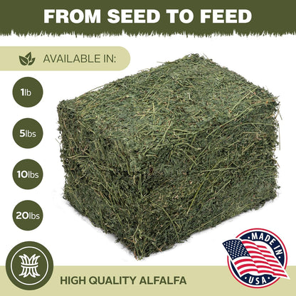 High Desert Alfalfa Hay for Rabbits, Guinea Pigs, Chinchillas & Small Pets – Protein-Rich Natural