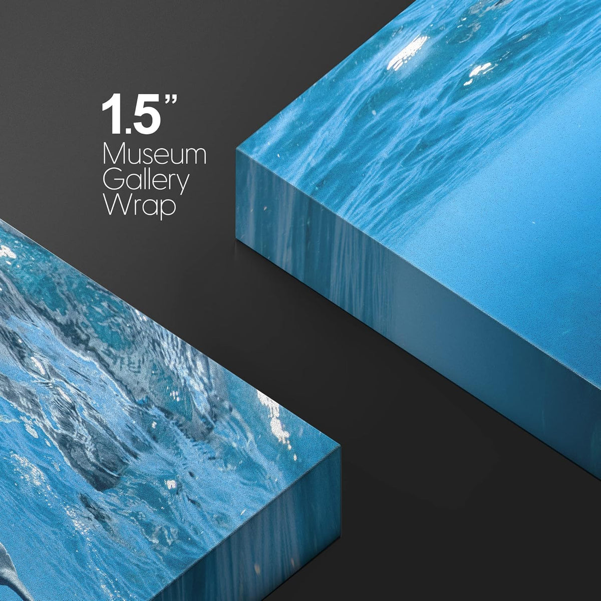 wall26 Canvas Print Wall Art Tropical Ocean Sea Underwater Dolphin Duo Nature Animals Photography