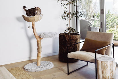 Wooden Cat Tree Tower, Modern Single Branch Cat Condo, Wood Cat Tree, Cat Climbing, Furniture for