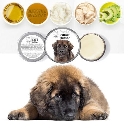 The Blissful Dog Leonberger Nose Butter for Dry, Cracked Skin, Lick-Safe Dog Nose Balm with