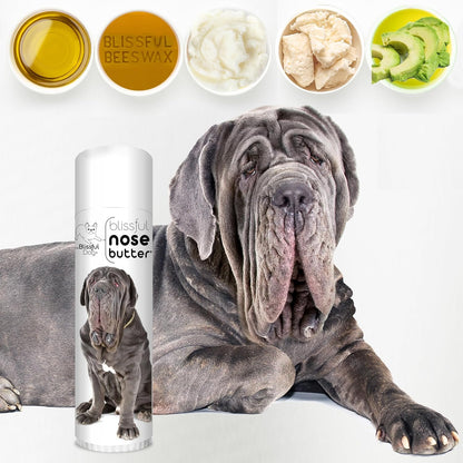The Blissful Dog Neapolitan Mastiff Nose Butter for Dry, Cracked Skin, Lick-Safe Dog Nose Balm with