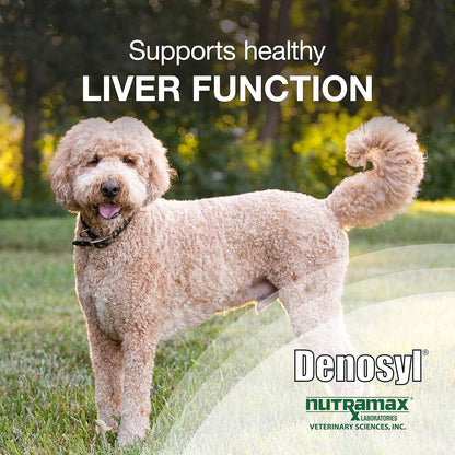 Nutramax Laboratories Denosyl Liver and Brain Health Supplement for Large Dogs, With