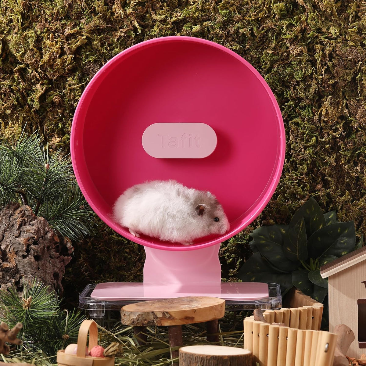Silent Hamster Wheel 8.7 Inch Dual-Bearings Small Animals Quiet Running Exercise Wheels, Height
