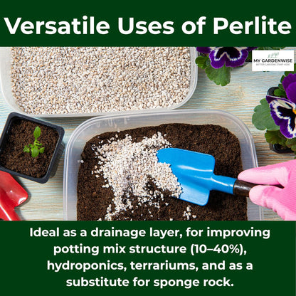 Perlite for Plants, Coarse and Chunky Horticultural Perlite, Organic Perlite for Gardening Indoor &
