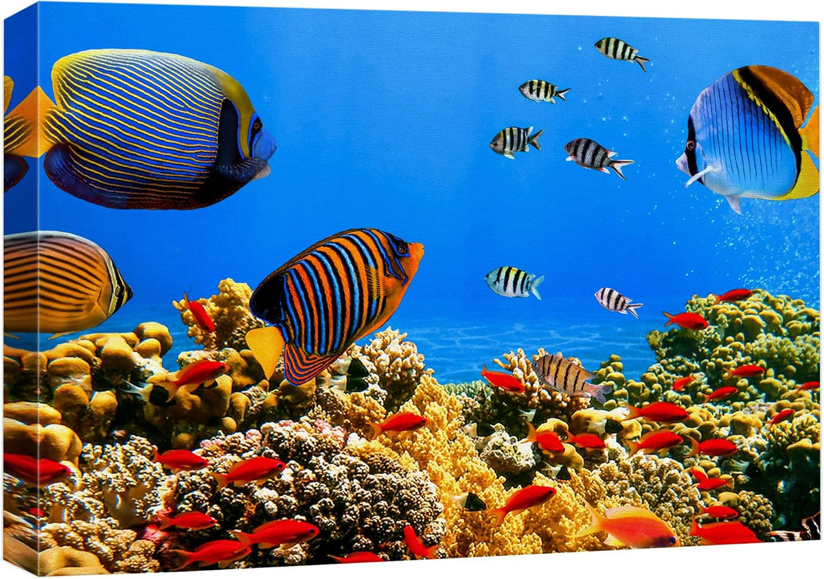 wall26 Canvas Print Wall Art Tropical Island Underwater Fish Red Anemone Nature Animals Photography