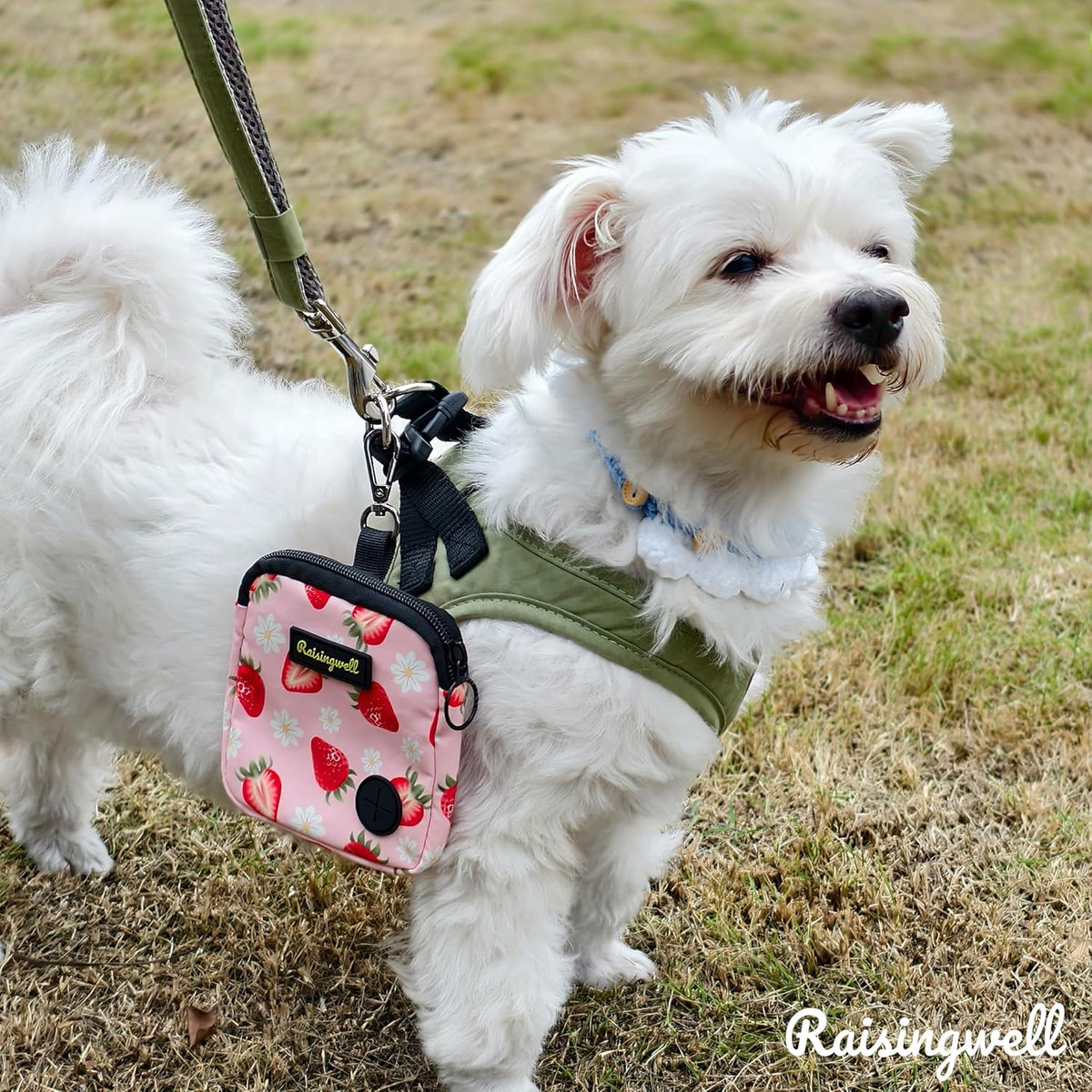 Dog Treat Pouch for Pet Walking and Training with Clicker Poop Bags Small Fanny Zipper Pack Holder