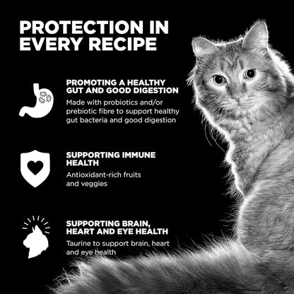 Go! Solutions Carnivore, Grain-Free, Protein Rich Dry Cat Food, Chicken, Turkey and Duck Recipe, 3