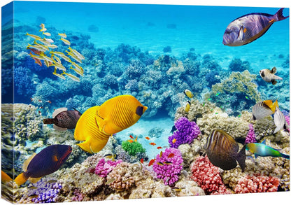 wall26 Canvas Print Wall Art Tropical Underwater Ocean Sea Fish Reef Nature Animals Photography