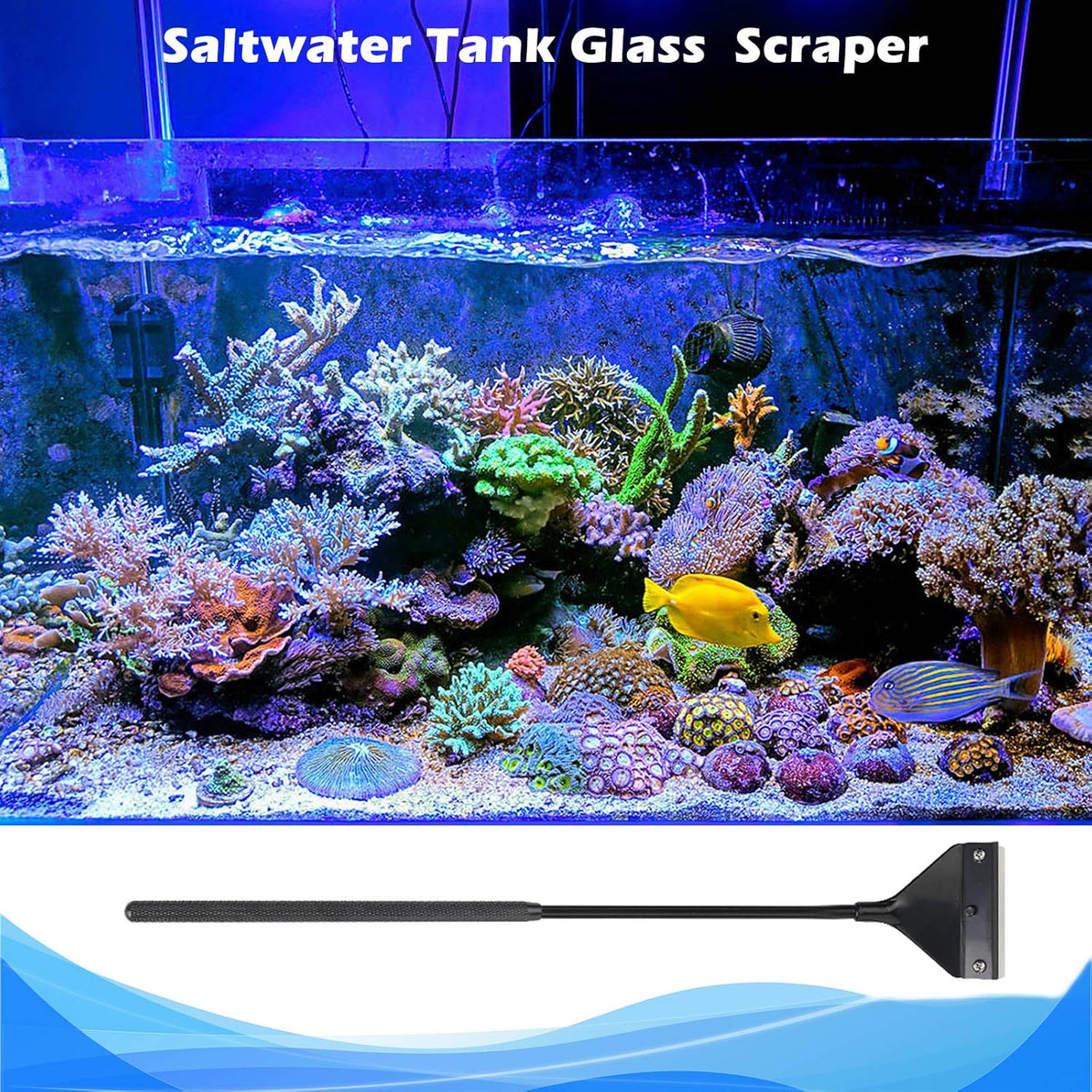 Algae Scraper for Glass Aquariums, Fish Tank Cleaner, Aquarium Algae Scrapers with 10 Stainless