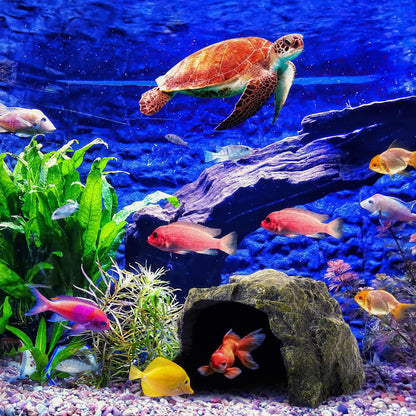 Reptile Rock Hide Cave - World 9.99 Mall Reptile Rock Hide Habitat Decoration|Natural,Non-Toxic