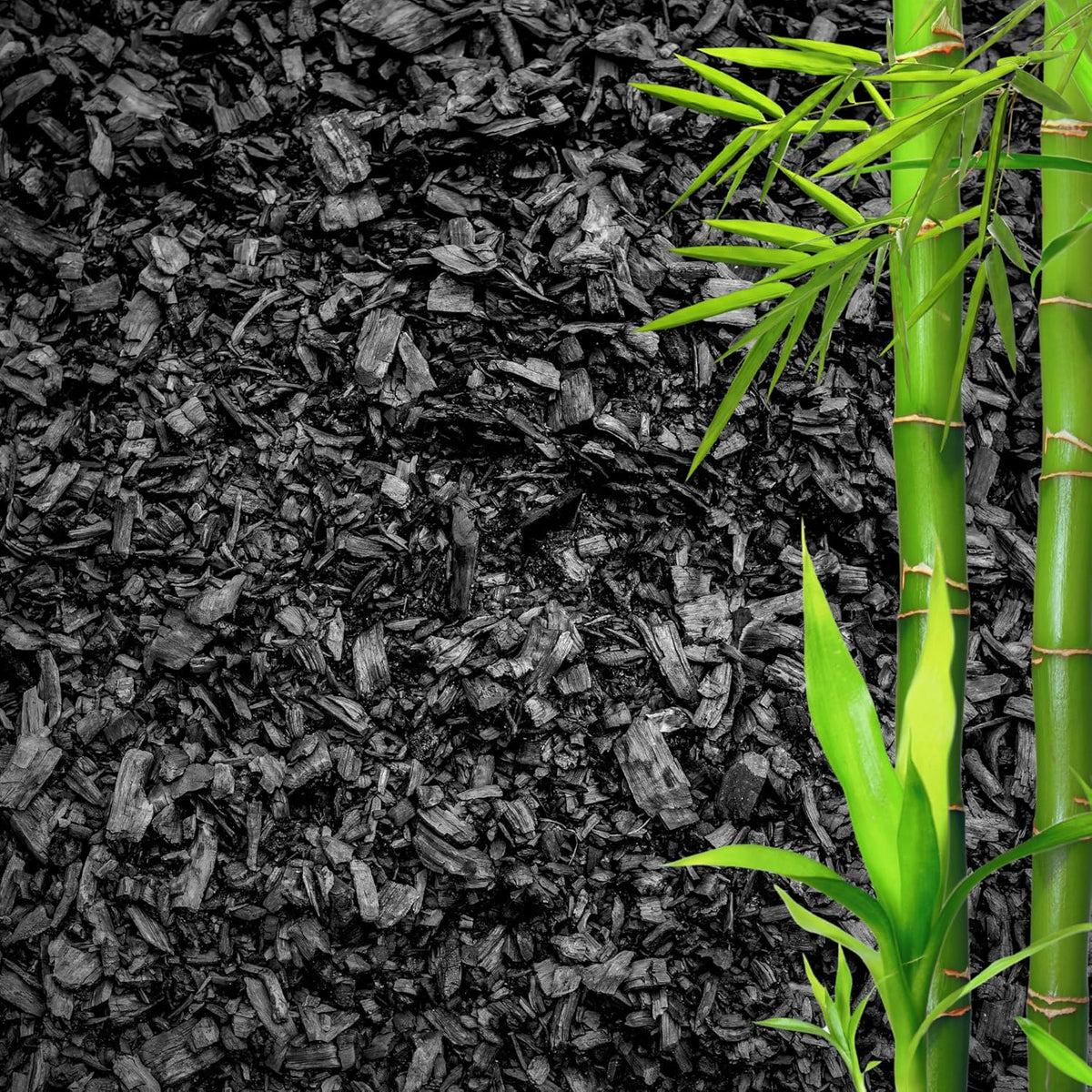 Horticultural Charcoal for Plants – Organic Bio Char Soil Amendment for Terrariums, Indoor Plants &