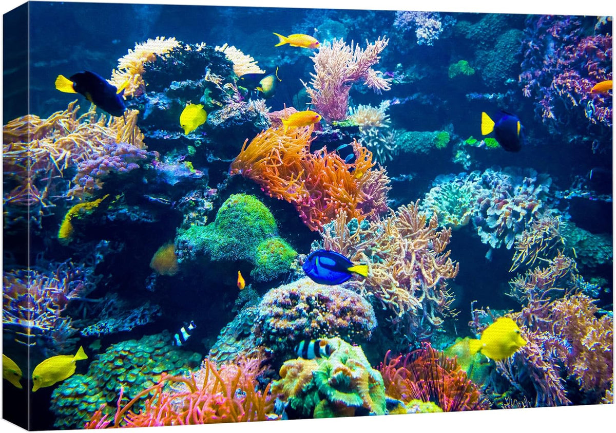 wall26 Canvas Print Wall Art Vibrant Multicolor Coral Reef Fish Ecosystem Nature Animals