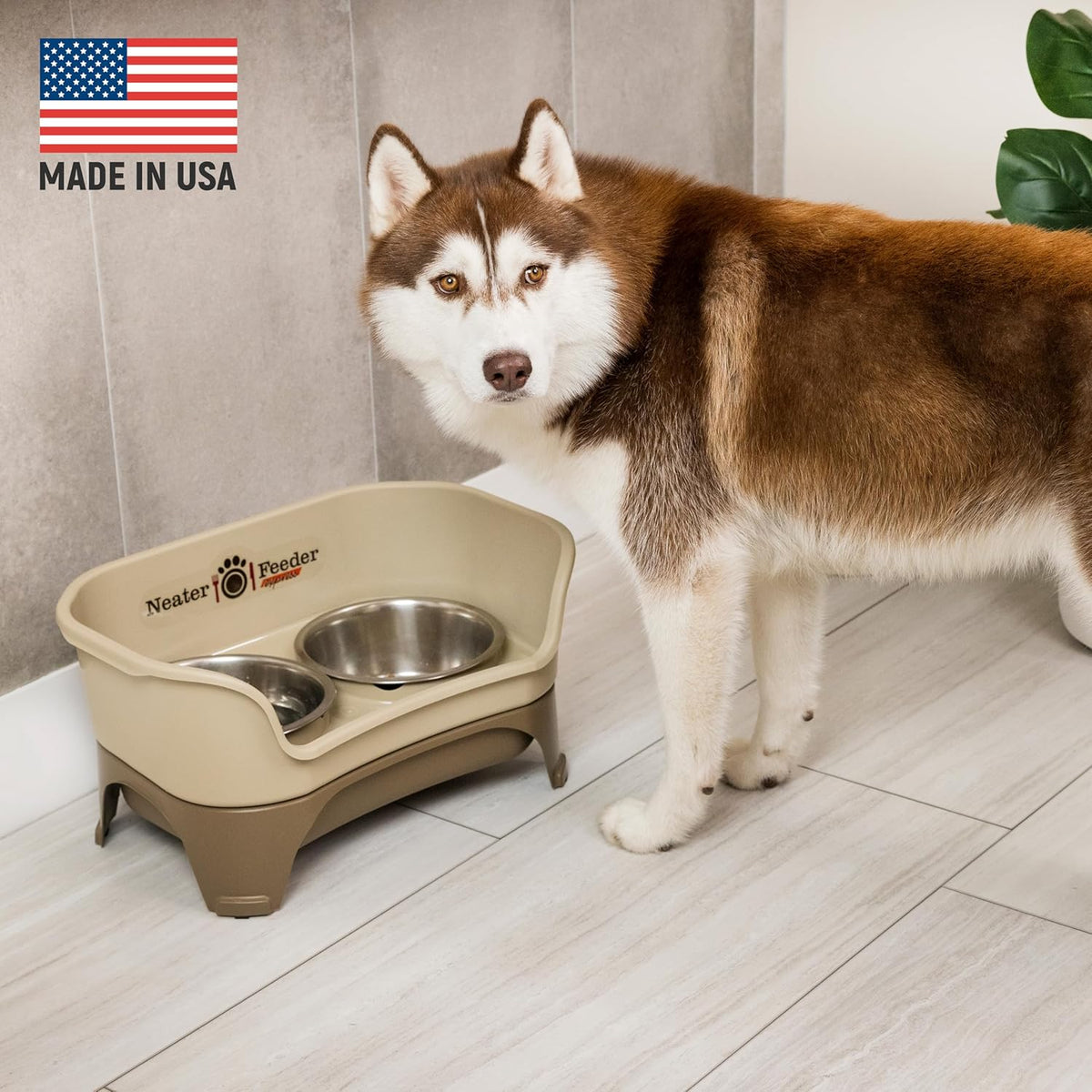 Neater Feeder - Express Model w/Slow Feed Bowl - Mess-Proof Dog Bowls (M/L, Cappuccino) Made in USA