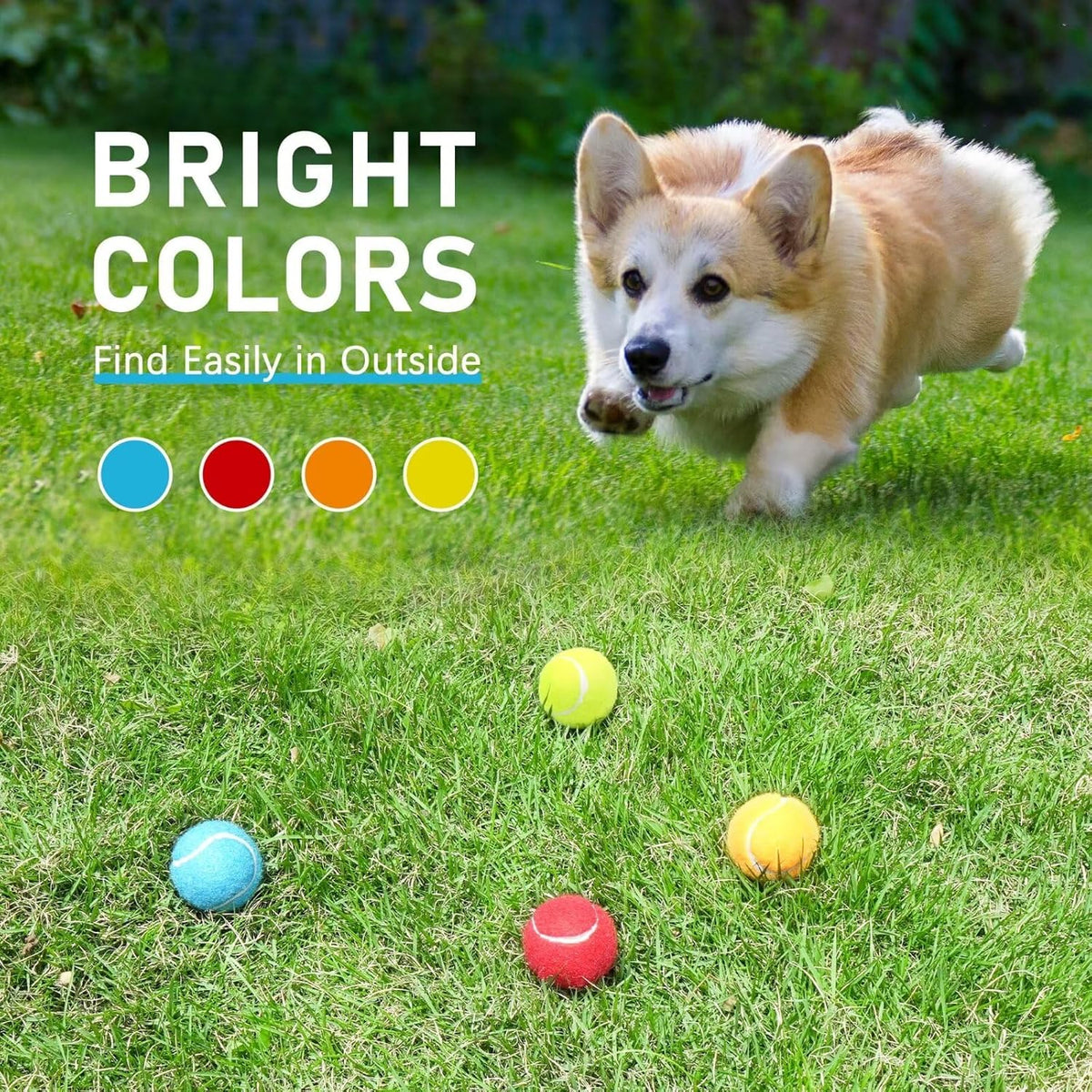 Prime Pets Mini Tennis Balls for Dogs, 2 Inch Squeaky Dog Toys, Interactive Dog Toy Balls for