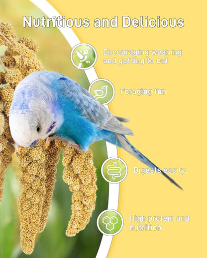BUCATSTATE Spray Millet for Birds, Sun-Dried Healthy Millet Parakeet Treats for Parrots Cockatiel