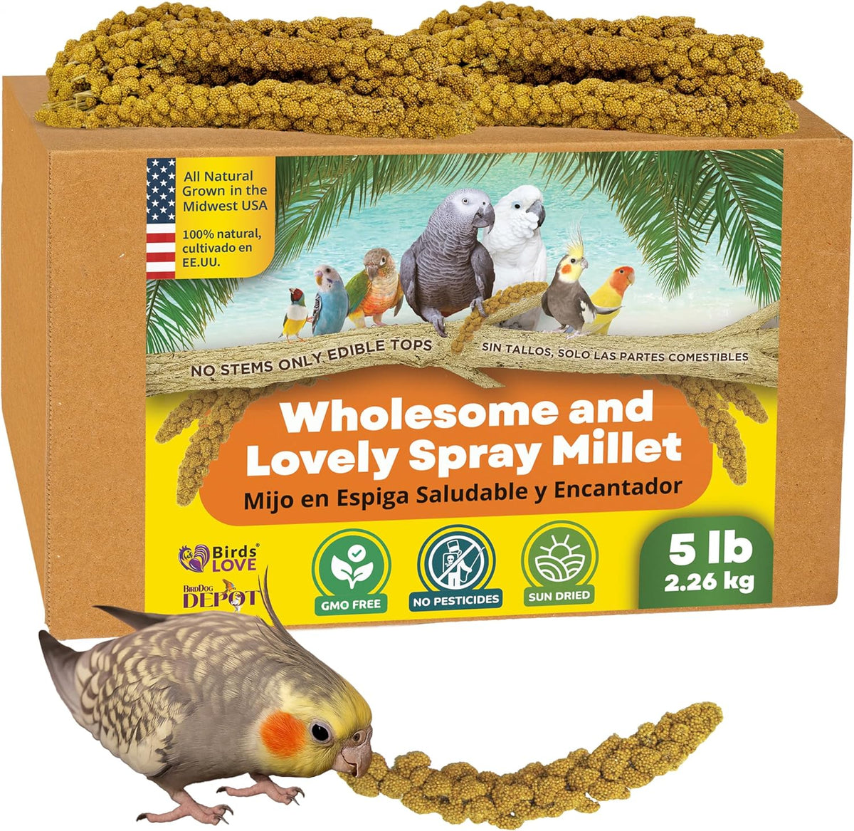 Birds LOVE Wholesome & Lovely Spray Millet Non-GMO (No Stems Only Edible Tops) for Parrots Birds