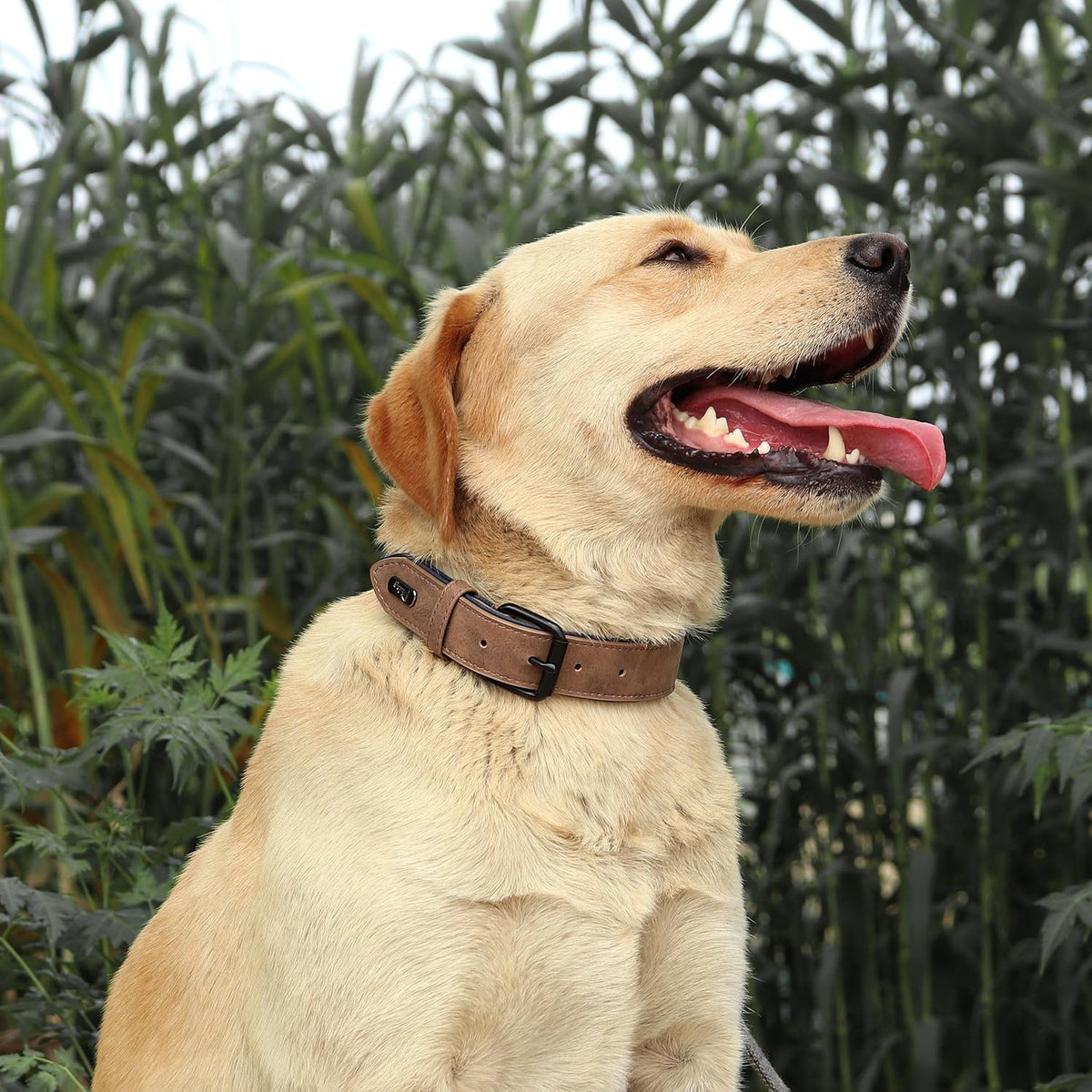 Didog Soft Padded PU Leather Dog Collar, Breathable and Adjustable Dog Collar for Large Dogs