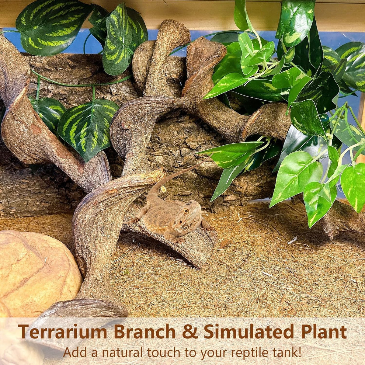 BNOSDM 3Pcs Reptile Climbing Branches Decor,Snake Climbing Branch,Gecko Climb Wood,Lizard Forest