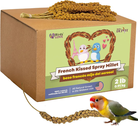 Birds LOVE French Kissed Spray Millet for Birds - Parakeets, Cockatiels, Lovebirds, Finches