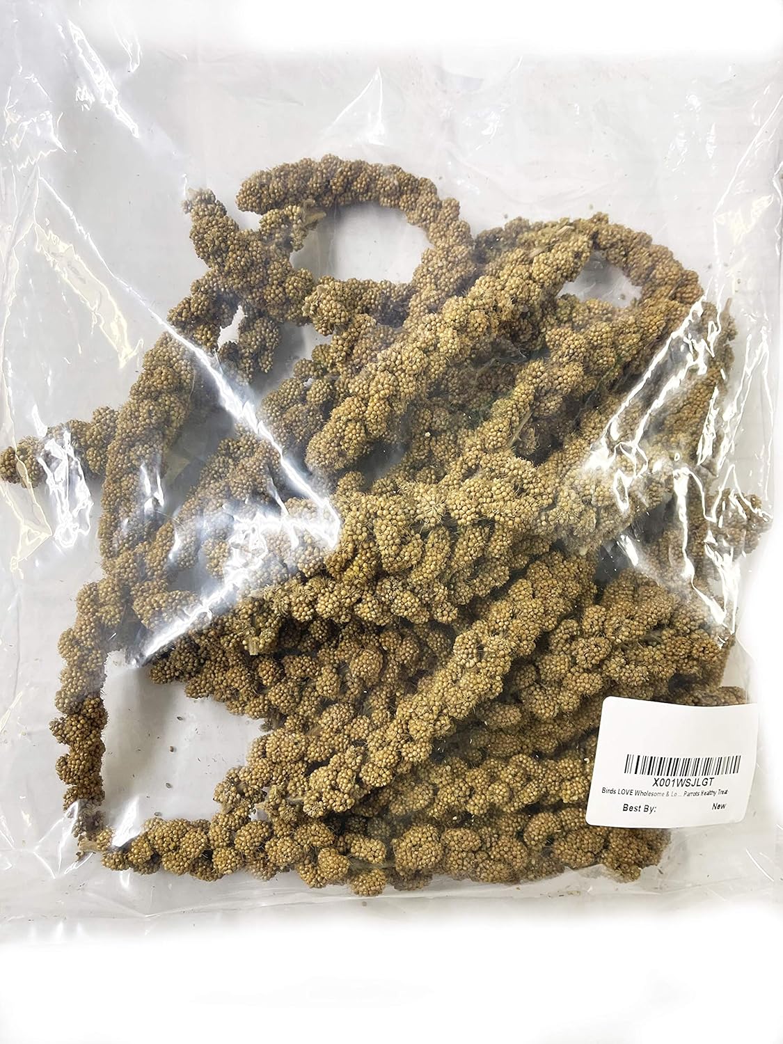 Birds LOVE Spray Millet – 1 lb GMO-Free, No Stems (Edible Tops Only) – Healthy Treat for