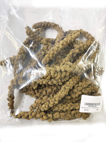 Birds LOVE Spray Millet – 1 lb GMO-Free, No Stems (Edible Tops Only) – Healthy Treat for