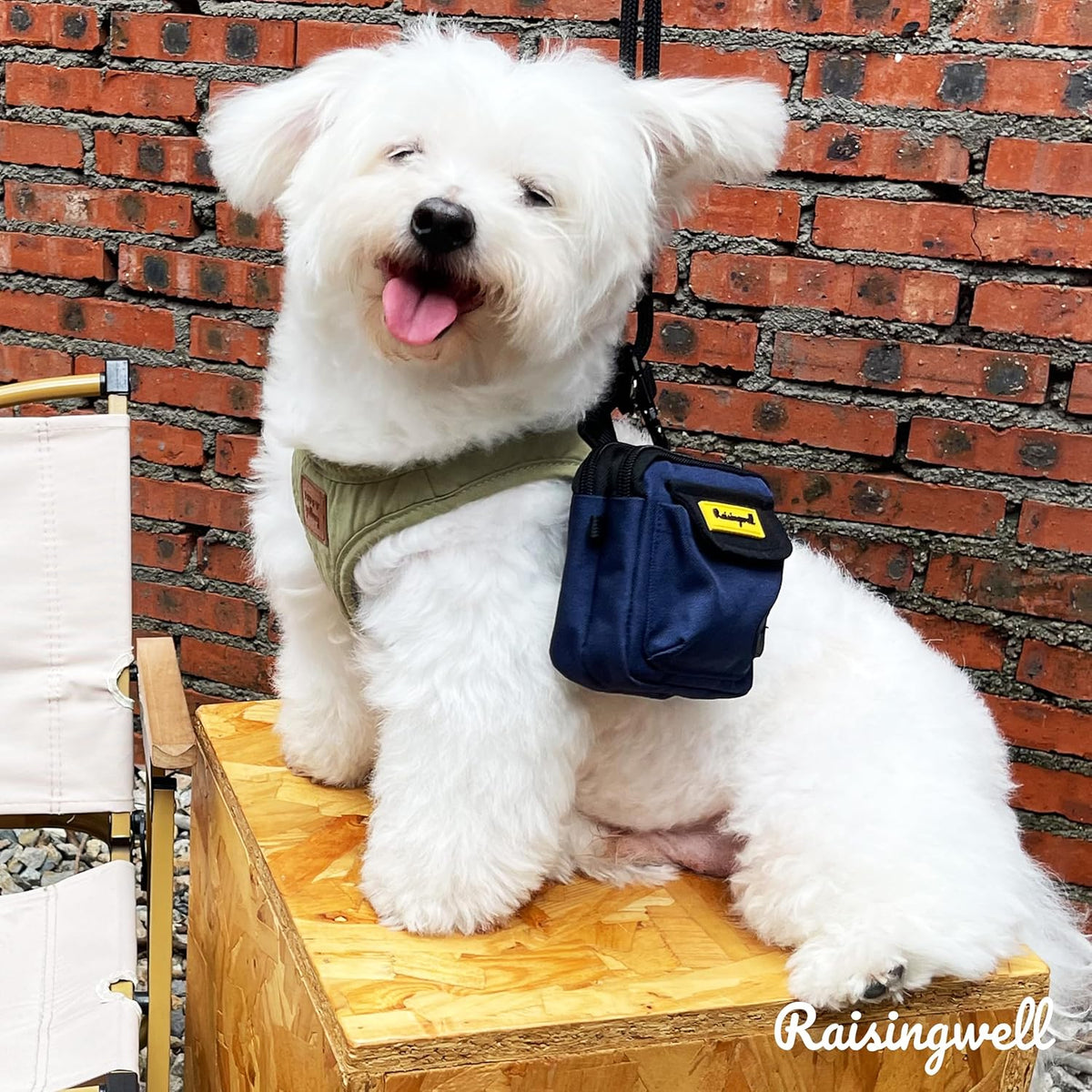 Dog Treat Pouch for Pet Walking and Training with Clicker, Poop Bags and Three Bags Design Small
