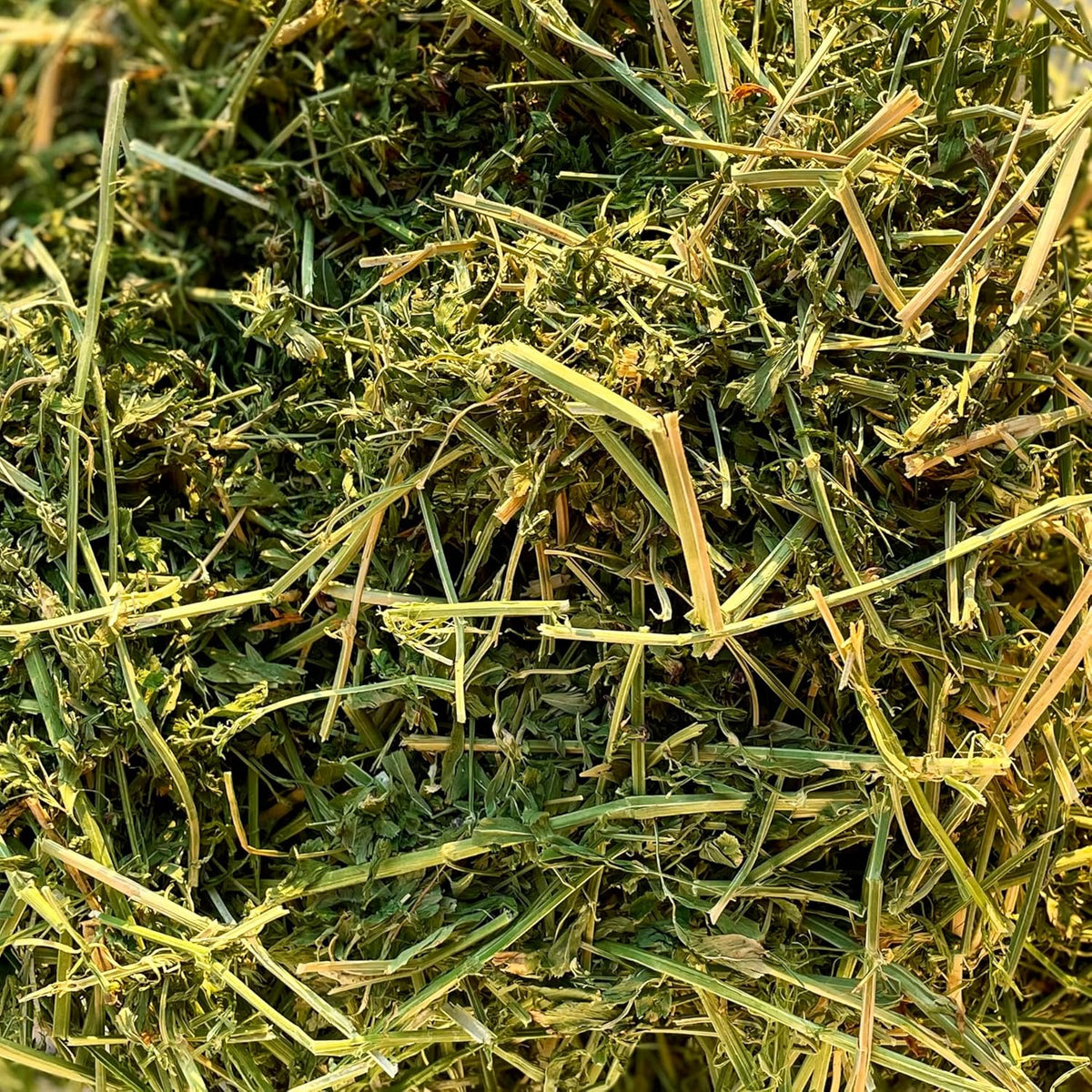 Blue Mountain Hay High-Altitude Hay - Organic Alfalfa, 25lb - High Protein, Fiber & Mineral-Rich