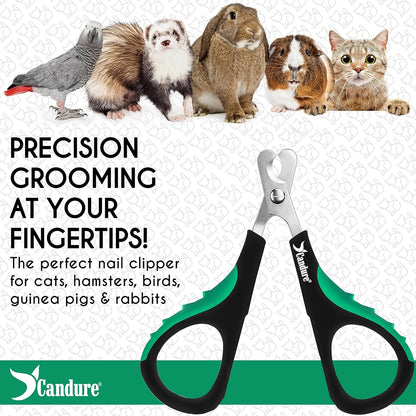 Candure Cat Nail Clippers for Cats, Rabbits, Hamsters, Birds - Stainless Steel Trimmer with Precise