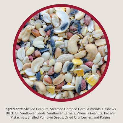 Lyric Fruit and Nut Wild Bird Seed - High Energy Wild Bird Food Mix - Attracts Woodpeckers