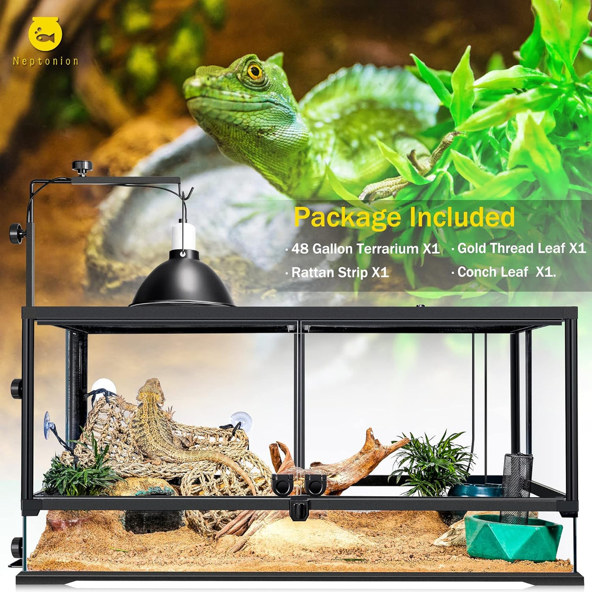 48 Gallon Professional Glass Terrarium 36"x18"x18" Durable Reptile Habitat Tank with Heat Resistant