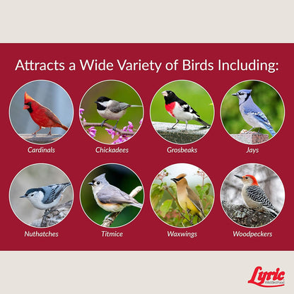 Lyric Fruit and Nut Wild Bird Seed - High Energy Wild Bird Food Mix - Attracts Woodpeckers