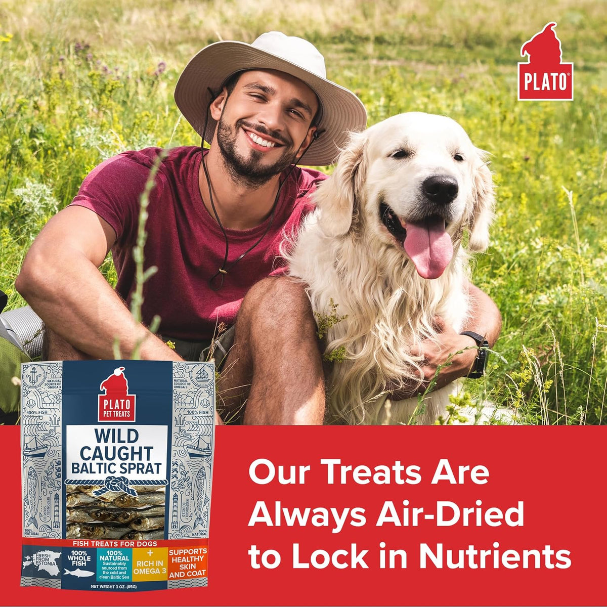 PLATO Pet Treats Fish Dog Treats - Air-Dried, Single Ingredient Dog Treat - with Omega 3 & 6 Fatty