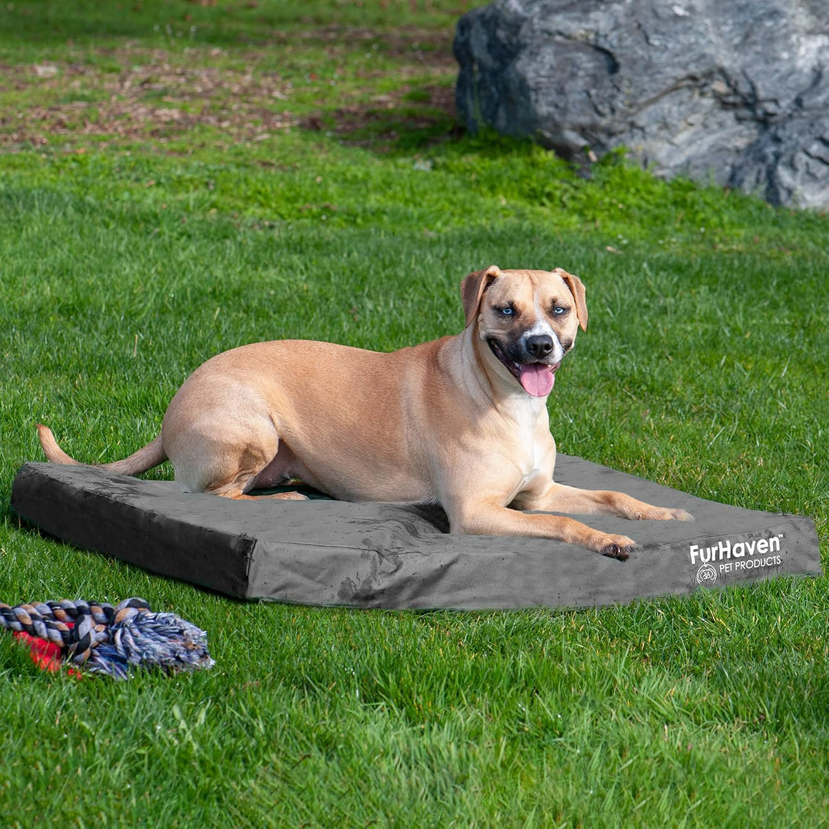 Furhaven Water-Resistant Cooling Gel Dog Bed for Large/Medium Dogs w/ Removable Washable Cover, For