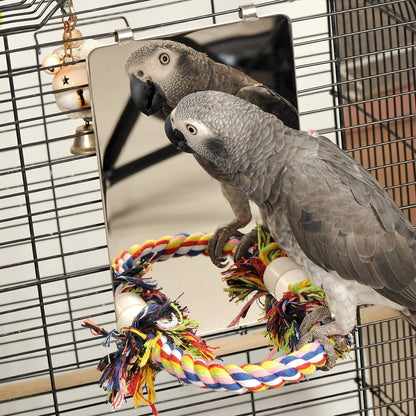 Colorday 9" Bird Mirror with Rope Perch, Bird Swing, Parrot Cage Toys for Parakeet African Grey
