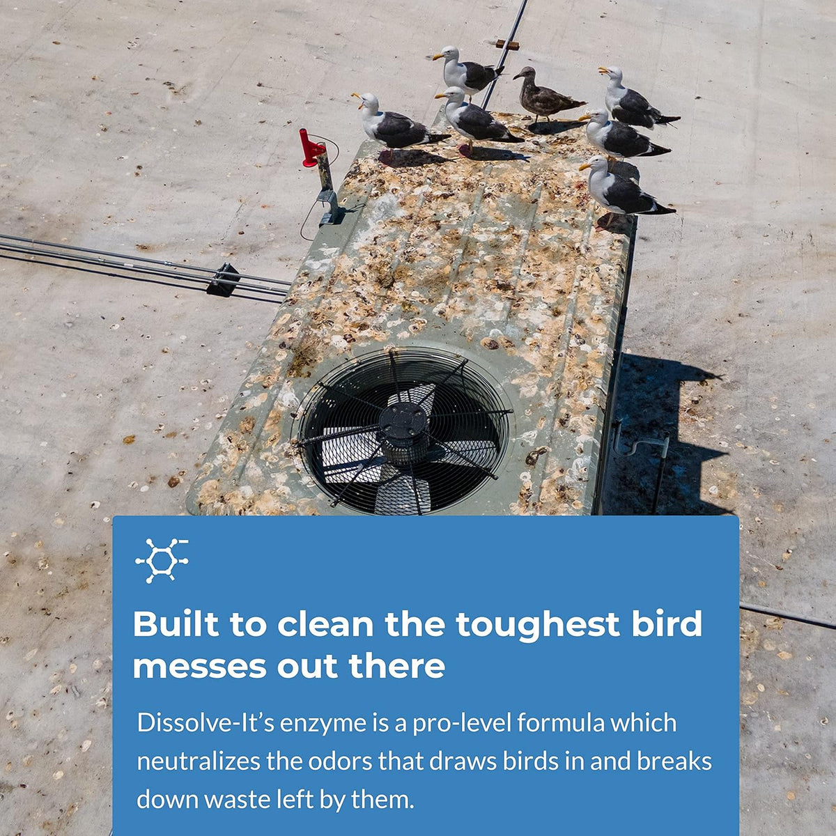 Bird Barrier Dissolve-It Max Enzyme Cleaner - Bird Dropping Cleaner - Dissolves Waste – Treat