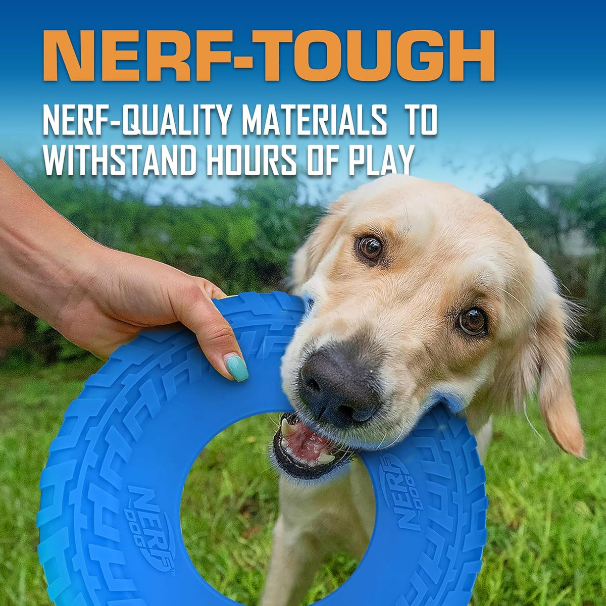 Nerf Dog Tire Flyer Outdoor Dog Toy, 10 Inch Flying Disc Dog Fetch Toy, Rubber Dog Toy for Medium