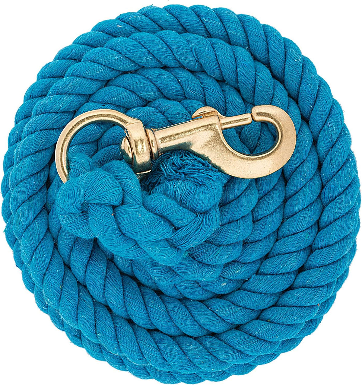 Weaver Equine Performance Lead Rope, Long Horse Lead Rope with Quick Halter Attachment, Soft