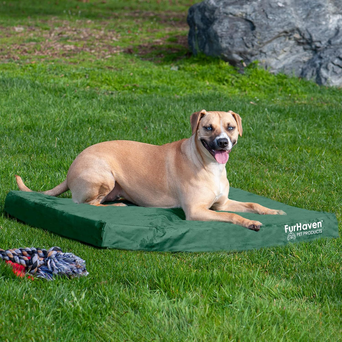Furhaven Water-Resistant Cooling Gel Dog Bed for Large/Medium Dogs w/ Removable Washable Cover, For