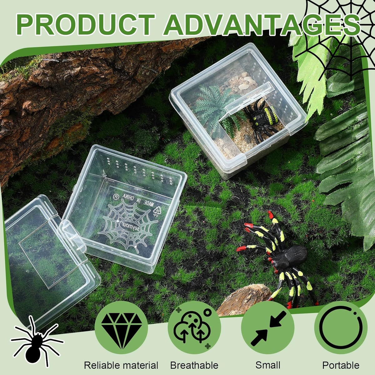 20 Pcs Insect Spider Terrariums Breeding Box Small Reptile Hatching Container Transparent Cricket