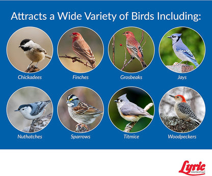 Lyric Wild Bird Mix - Wild Bird Food for Outside Feeders - Attracts Doves, Jays and many more - 20