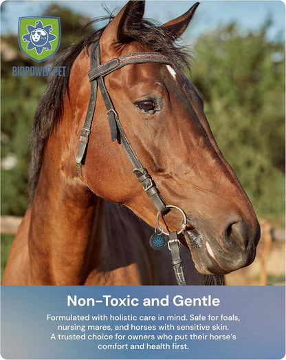 BioPower Natural Fly & Tick Repellent for Horses - Horse Shield Tag with 1-Year Bioresonance