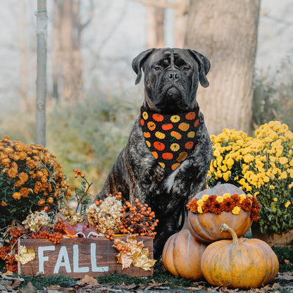 Fall Dog Bandanas - 2 Pack Halloween Thanksgiving Dog Bandana | Reversible Pumpkin and Leaf Pet