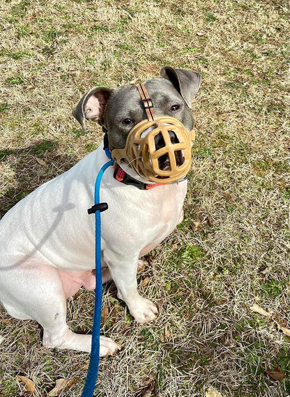 Mayerzon Dog Muzzle, Breathable Basket Muzzles for Small, Medium, Large and X-Large Aggressive Dogs