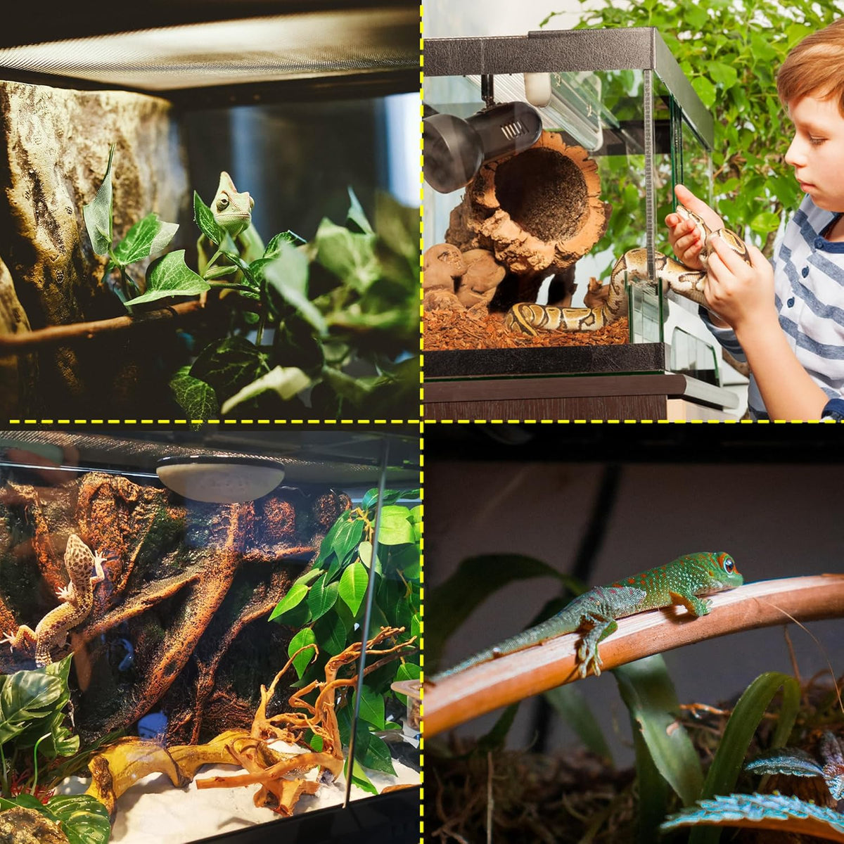 10 Gallon Professional Glass Terrarium 12"x12"x18" Durable Reptile Habitat Tank with Heat Resistant