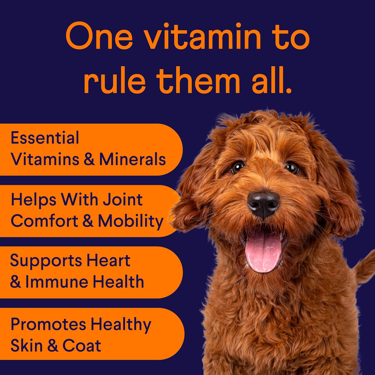 Finn All-in-1 Multivitamin for Dogs - Daily Multi with Probiotics, Omegas & Nutrients to Support