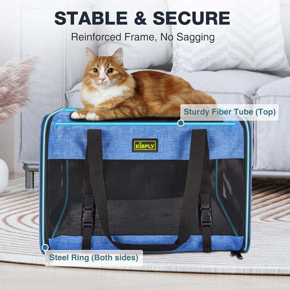 Dog Carriers for Small Dogs, Large Cat & Bunny, Foldable Soft-Sided Pet Travel Bag, up to 25lbs